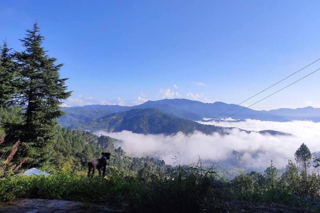 Вилла Little Himalayan Abode Алмора Экстерьер фото